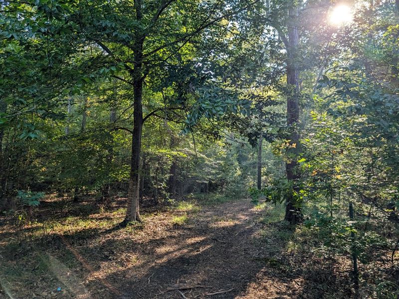 12.5 Acre Pike Road Estate Lot : Pike Rd : Montgomery County : Alabama