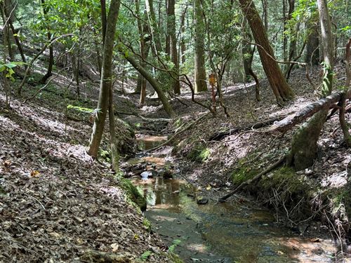 Hemlock Hollow, 27 Acres Adjoin : Haleyville : Winston County : Alabama