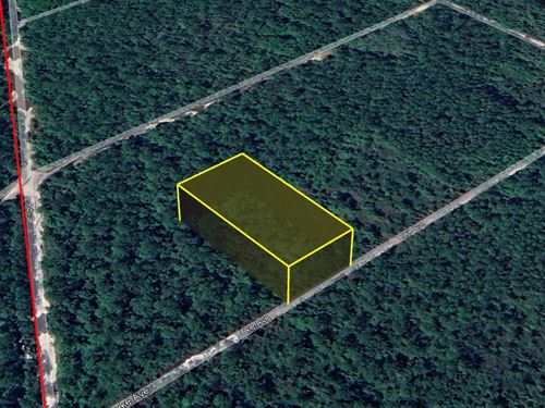 Hot Hastings Land Sale, $99 Down : Hastings : Flagler County : Florida