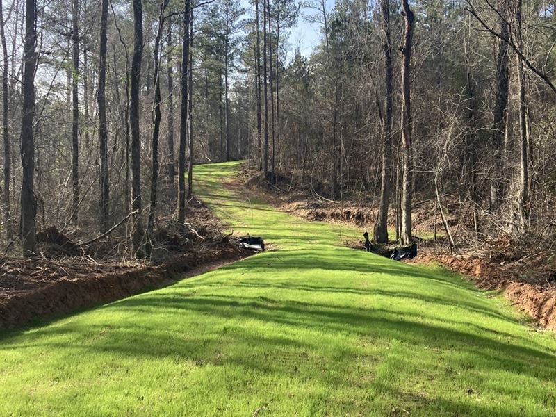 Large Acreage Lot : Musella : Crawford County : Georgia