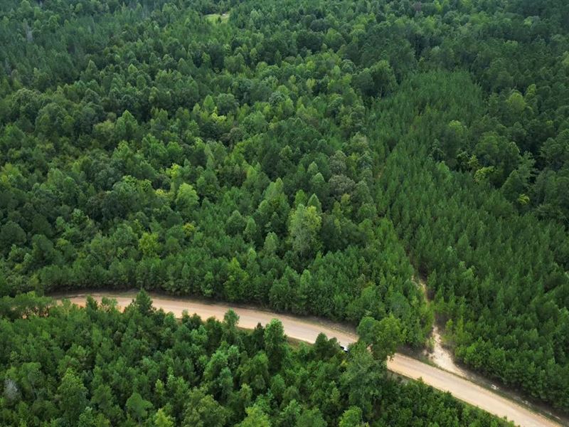 37 Acres in Neshoba County in Phila : Philadelphia : Neshoba County : Mississippi
