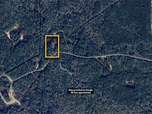 5 Ac in Saratoga, TX : Saratoga : Hardin County : Texas