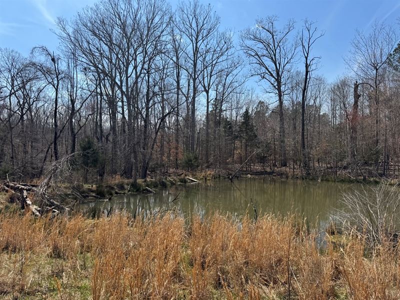 Limitless Land, Lasting Value : Donalds : Abbeville County : South Carolina