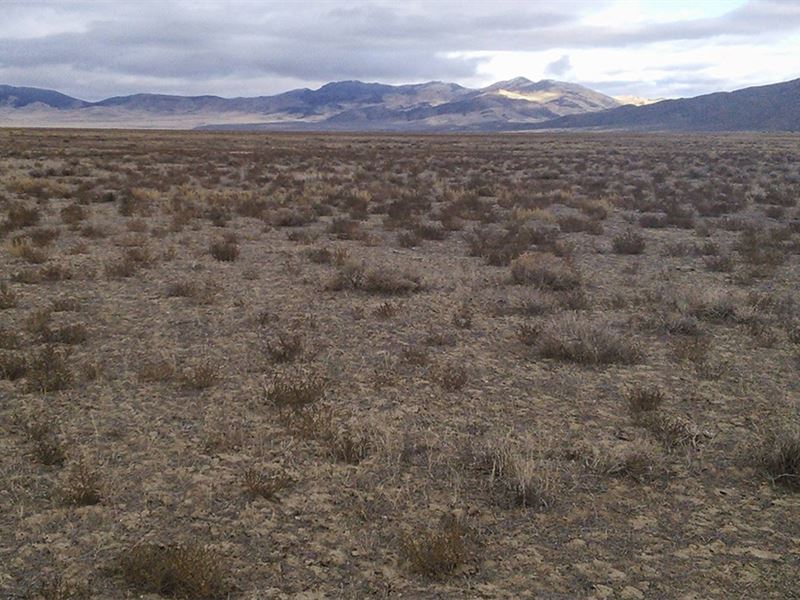 The Best Desert Land Purchase, Ever : Golconda : Humboldt County : Nevada