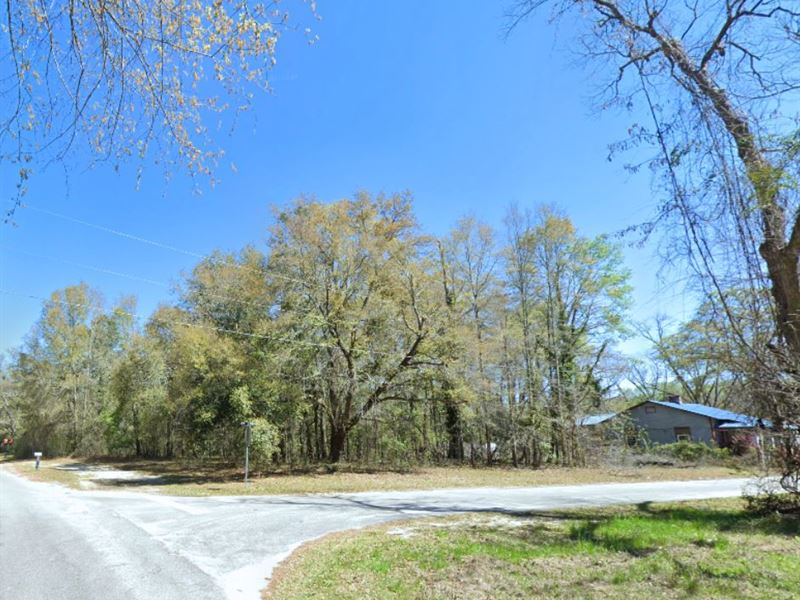 .52 Acres Only 3 Mins to Bamberg : Bamberg : Bamberg County : South Carolina