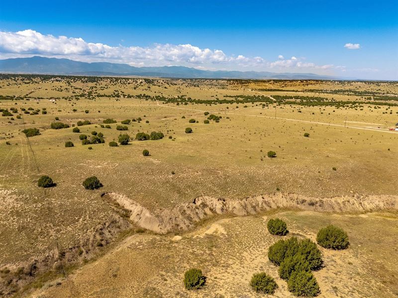 Par 60 Railroad Spring Drive, Puebl : Pueblo : Pueblo County : Colorado