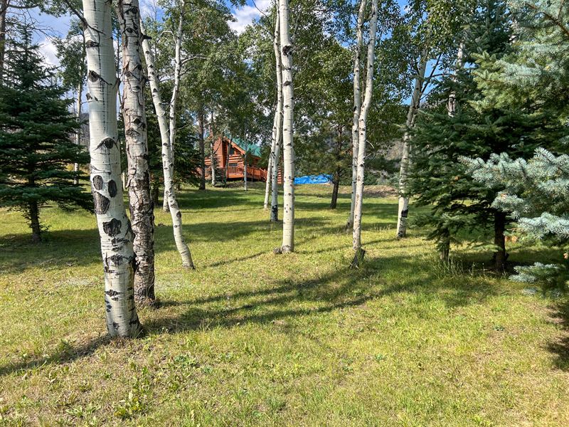 Buckhorn Creek Cabin : Bellvue : Larimer County : Colorado