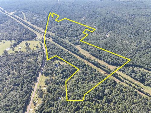 106 Acres, FM 247 : Huntsville : Walker County : Texas