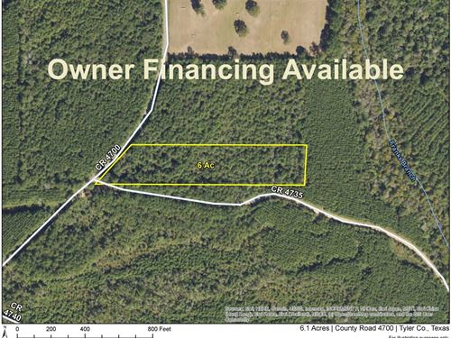 6.1 Acres, County Road 4700 : Fred : Tyler County : Texas