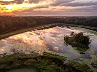 Cypress Pines Ranch : Gilmer : Upshur County : Texas