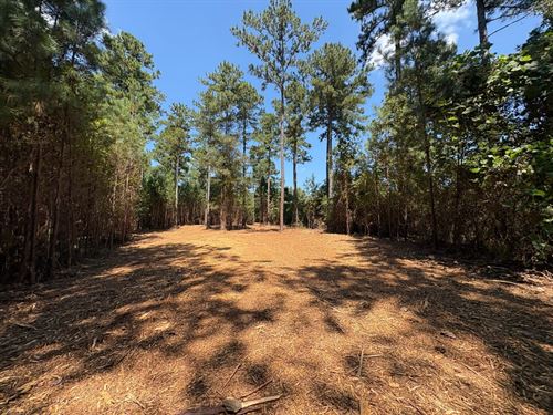 5 Acre Homesite in Smarr Georgia : Forsyth : Monroe County : Georgia