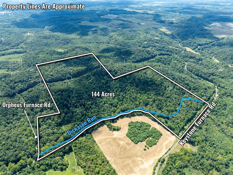 Auction, Keystone Furnace Rd : Jackson : Jackson County : Ohio