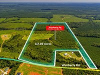 117 Acres, South Houston Co. GA : Hawkinsville : Houston County : Georgia