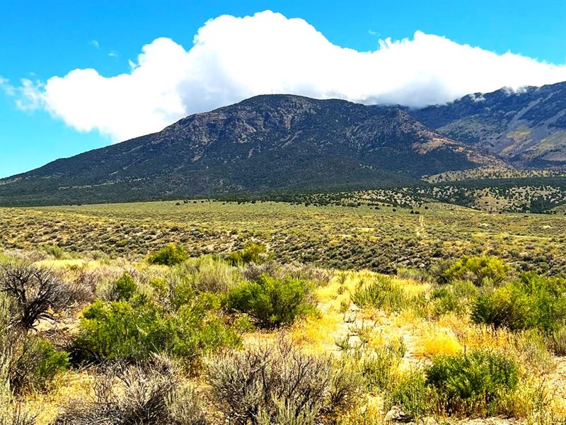 Investment That Never Loses Value : Montello : Elko County : Nevada