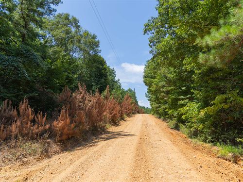 $999 Down Land no Credit Check : Beaverton : Lamar County : Alabama