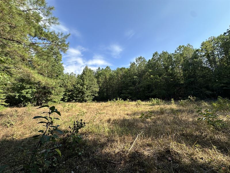 Palmyra Tract-154 Acres-Lowdnes Co : Mitner : Lowndes County : Alabama