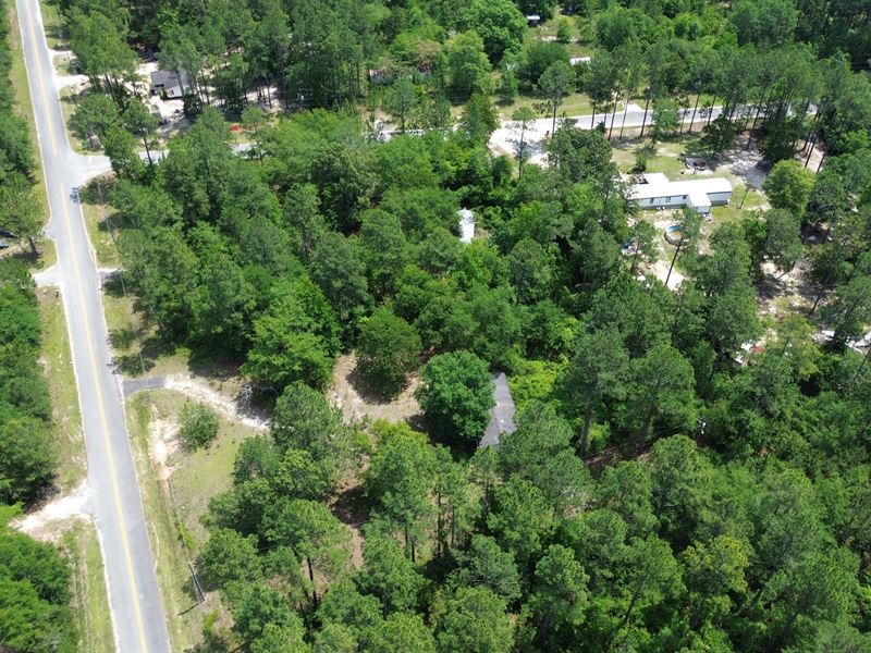 57 Acres Mostly Wooded : Cochran : Bleckley County : Georgia