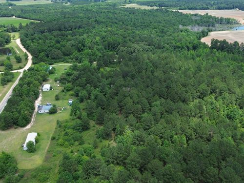 59.4 Ac Residential : Cochran : Bleckley County : Georgia