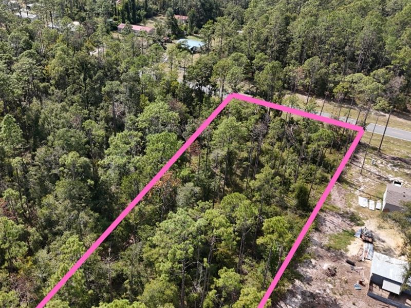Cash Deal for Great 0.86 Acre : Live Oak : Suwannee County : Florida