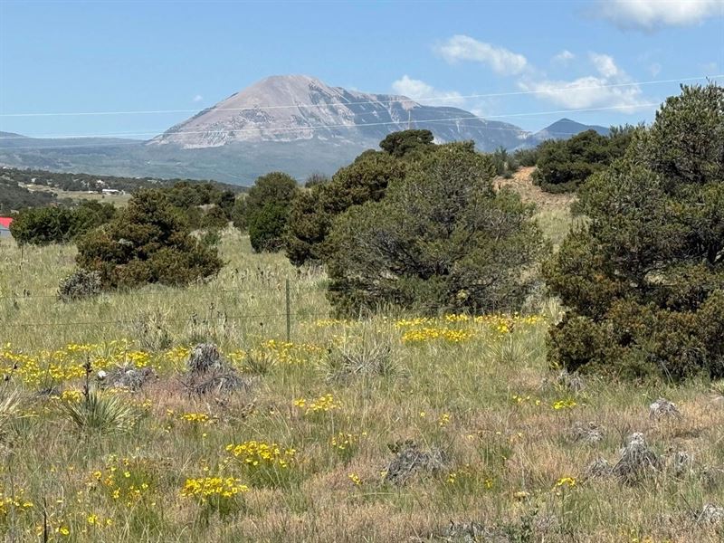 Chickasaw Dr, Walsenburg, Co 8 : Walsenburg : Huerfano County : Colorado
