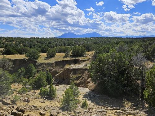 776 Rio Cucharas Ph 3, Walsenburg : Walsenburg : Huerfano County : Colorado