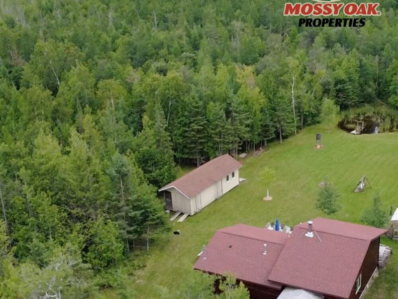 Modern Log Cabin Home on Expansive : Alpena : Alpena County : Michigan