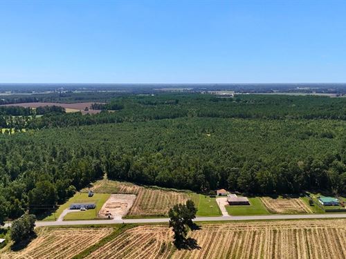 86.69 Acres of Timberland And Devel : La Grange : Lenoir County : North Carolina