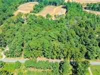 Updated, 3.8 Acres Build Lot : Willow Springs : Wake County : North Carolina