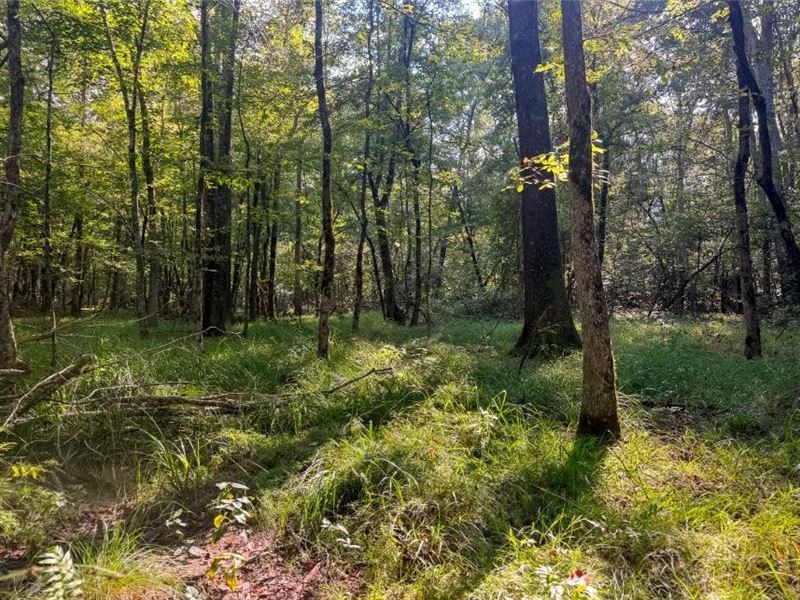 Residential Land for Sale NE Lincol : Choudrant : Lincoln Parish : Louisiana