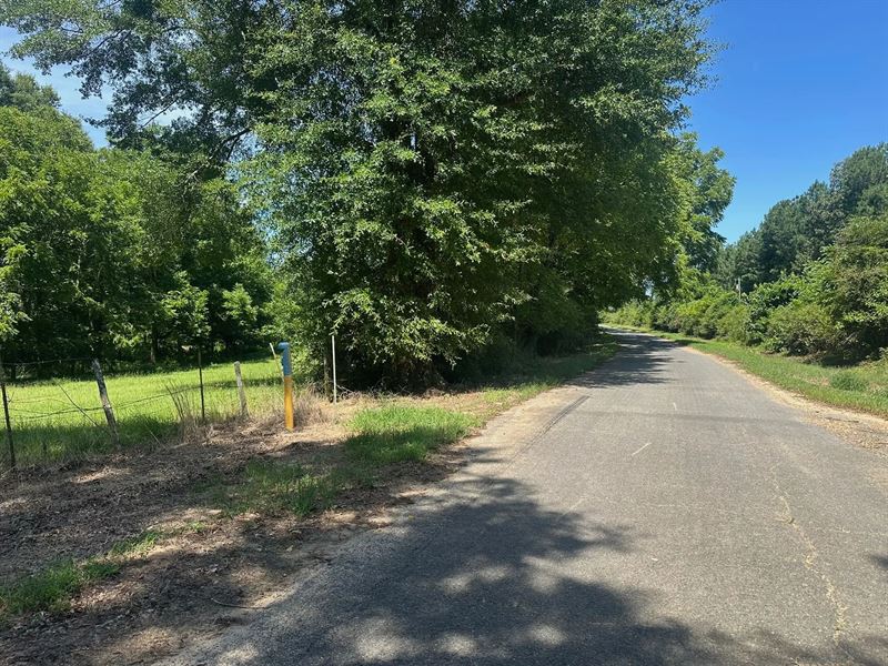 Hunting Property and Homesite in Ja : Chatham : Jackson Parish : Louisiana