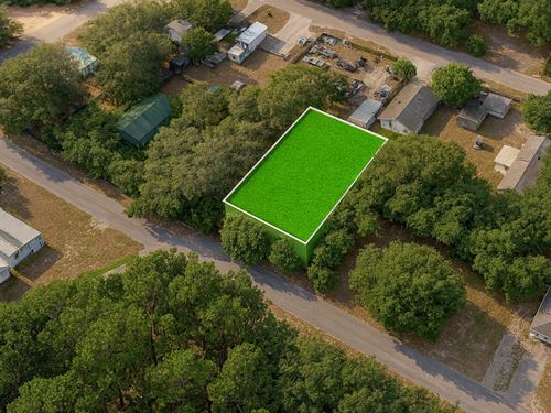 Cardy St., New Port Richey, FL : New Port Richey : Pasco County : Florida