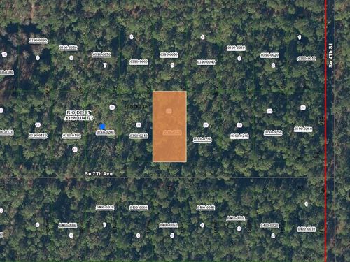 $199 Down, Zero Stress Land Deal : Federal Point : Putnam County : Florida