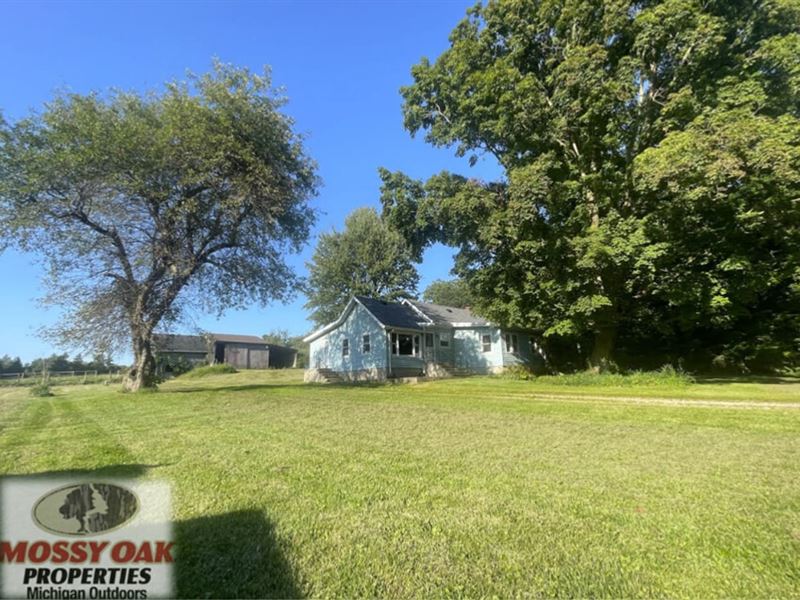 Charming Farmhouse Retreat on 5.6 : Battle Creek : Calhoun County : Michigan