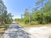Half an Acre, Big Dreams, $387/Mo : Dunnellon : Marion County : Florida