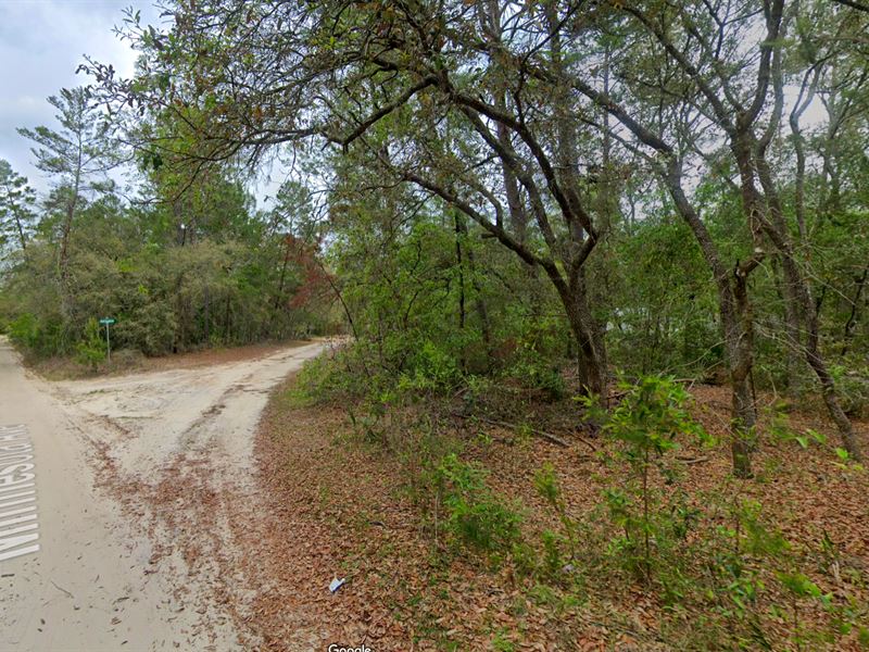 Build Close to Park, Rivers, Cities : Florida City : Putnam County : Florida