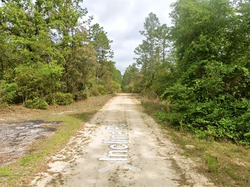 High and Dry, Direct Road Access : Florida City : Putnam County : Florida