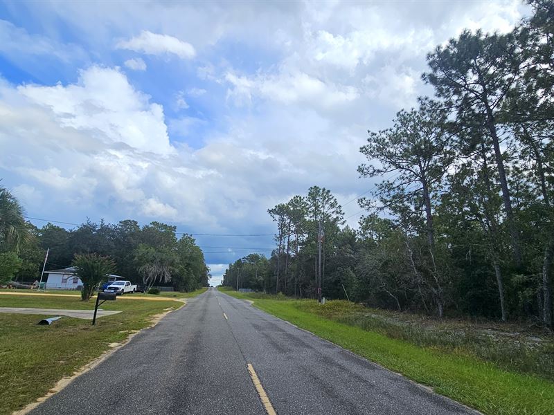High and Dry in Interlachen Florida : Interlachen : Putnam County : Florida