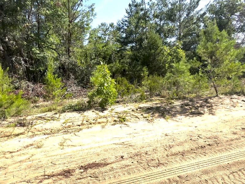 Residential Near Lakes & Utilities : Interlachen : Putnam County : Florida