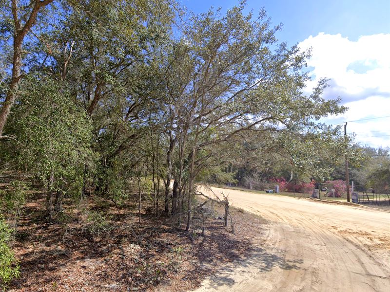 Build Home in No Flood Residential : Interlachen : Putnam County : Florida