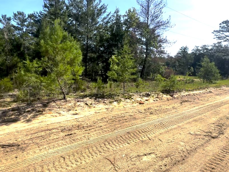 Place Mobile Homes in No Flood Risk : Interlachen : Putnam County : Florida