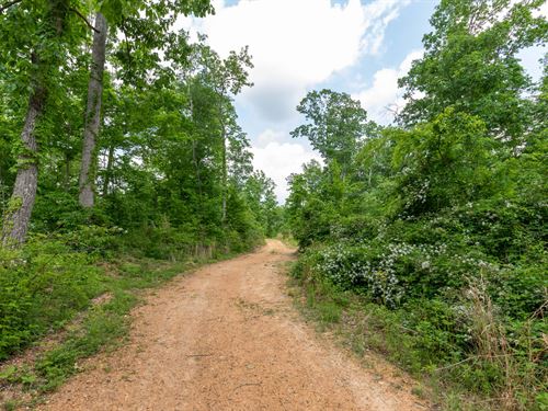 Off Grid Land, No Credit Check : Linden : Perry County : Tennessee