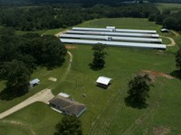 Beelieve Farms 4 House Broiler : Foxworth : Marion County : Mississippi