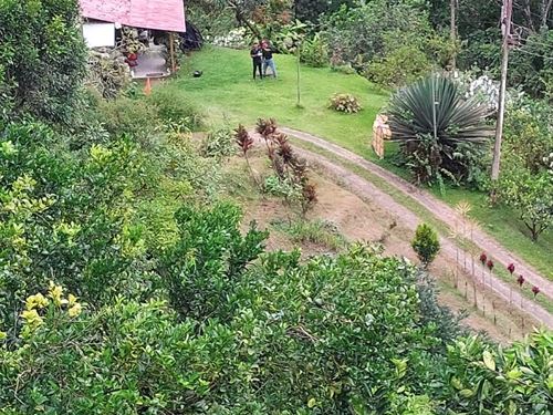 Avogana Ranch : Jicotea : Costa Rica