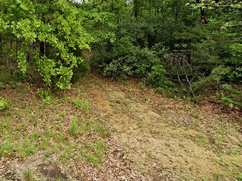 Quarter Acre Lot in Horseshoe Bend : Horseshoe Bend : Izard County : Arkansas