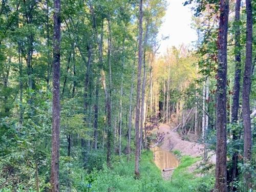 Duck Property Potential Going Gin : Springville : Henry County : Tennessee