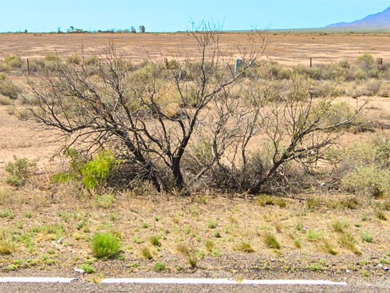 For Camping, RV, Weekend Getaway : Deming : Luna County : New Mexico