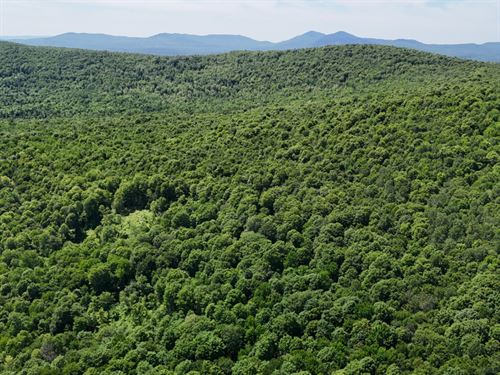 Hall Brook Headwaters : Lunenburg : Essex County : Vermont