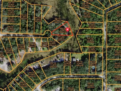 .70 Acre Land No HOA, Low Taxes : Webster : Hernando County : Florida