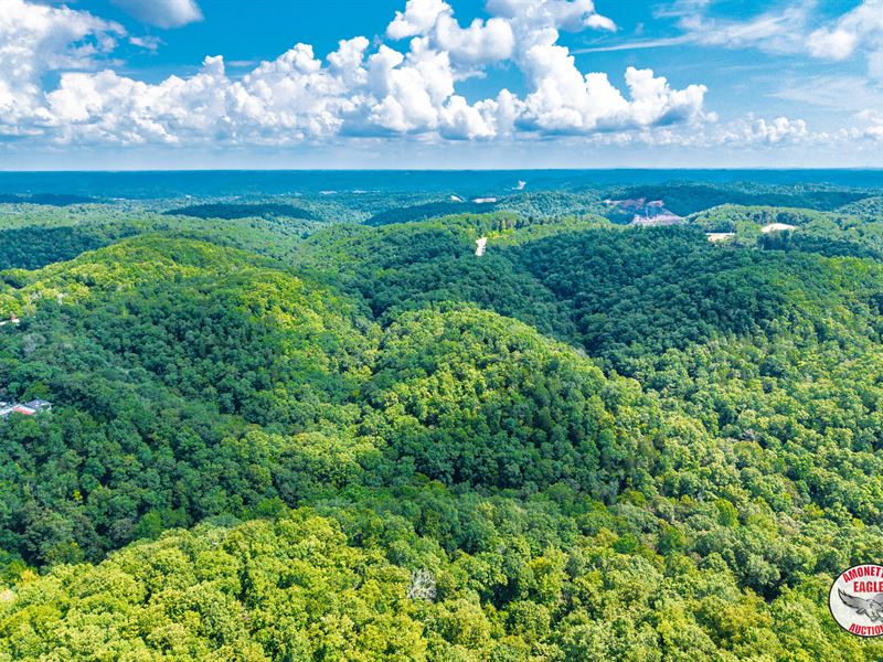 62 +/- Acres Offered in 2 Tracts : Albany : Clinton County : Kentucky
