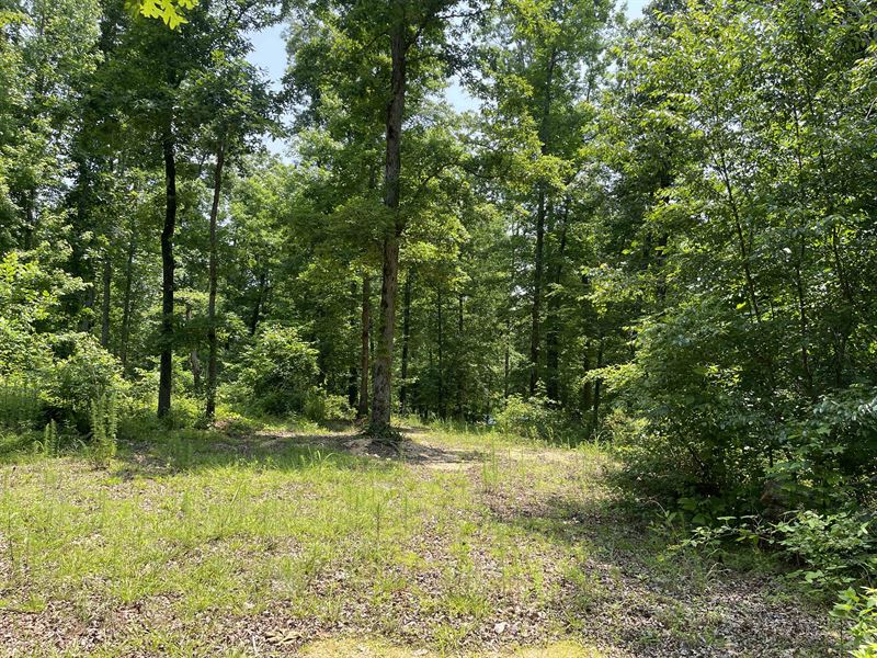 Unrestricted Land Near River : Sardis : Hardin County : Tennessee